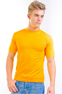 Магазин одежды для высоких людей – Футболки - футболка мужская leela, жёлтая
