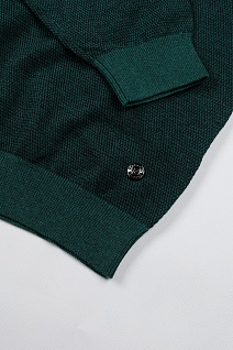 Магазин одежды для высоких людей – Кофты, джемперы, пуловеры - джемпер pierre cardin, зелёный