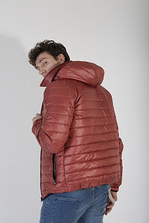 Магазин одежды для высоких людей – Куртки - куртка демисезонная taller newcastle, терракотовый